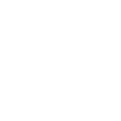 logo salming